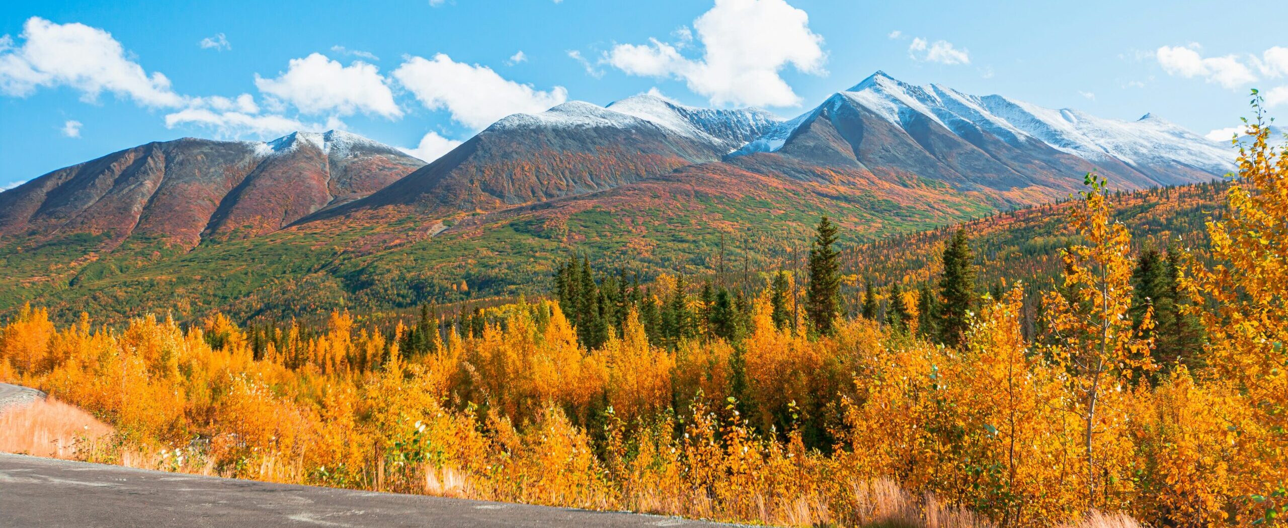 Fall in Alaska